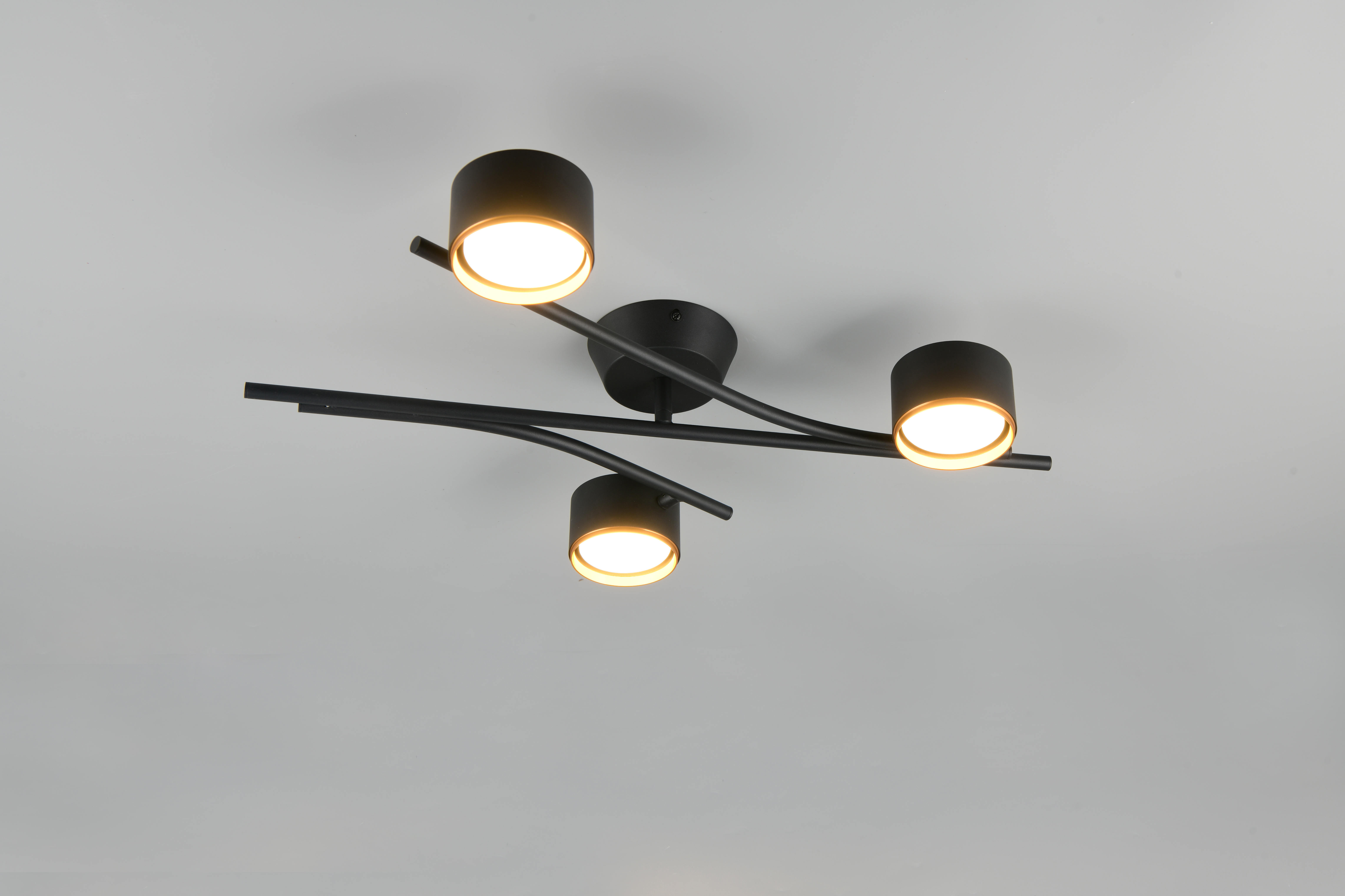 CODA – 669000380