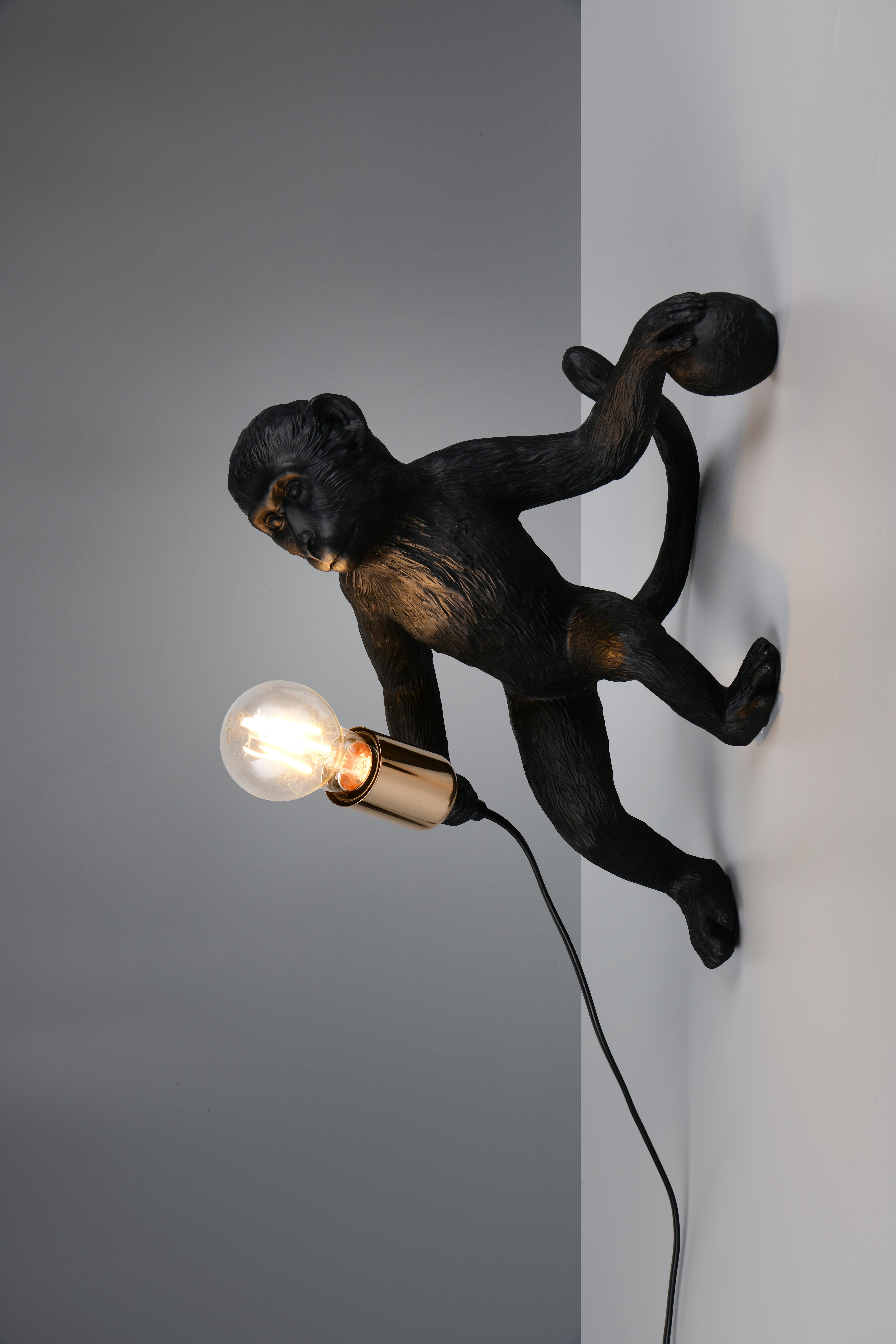 LOUY – R26541002
