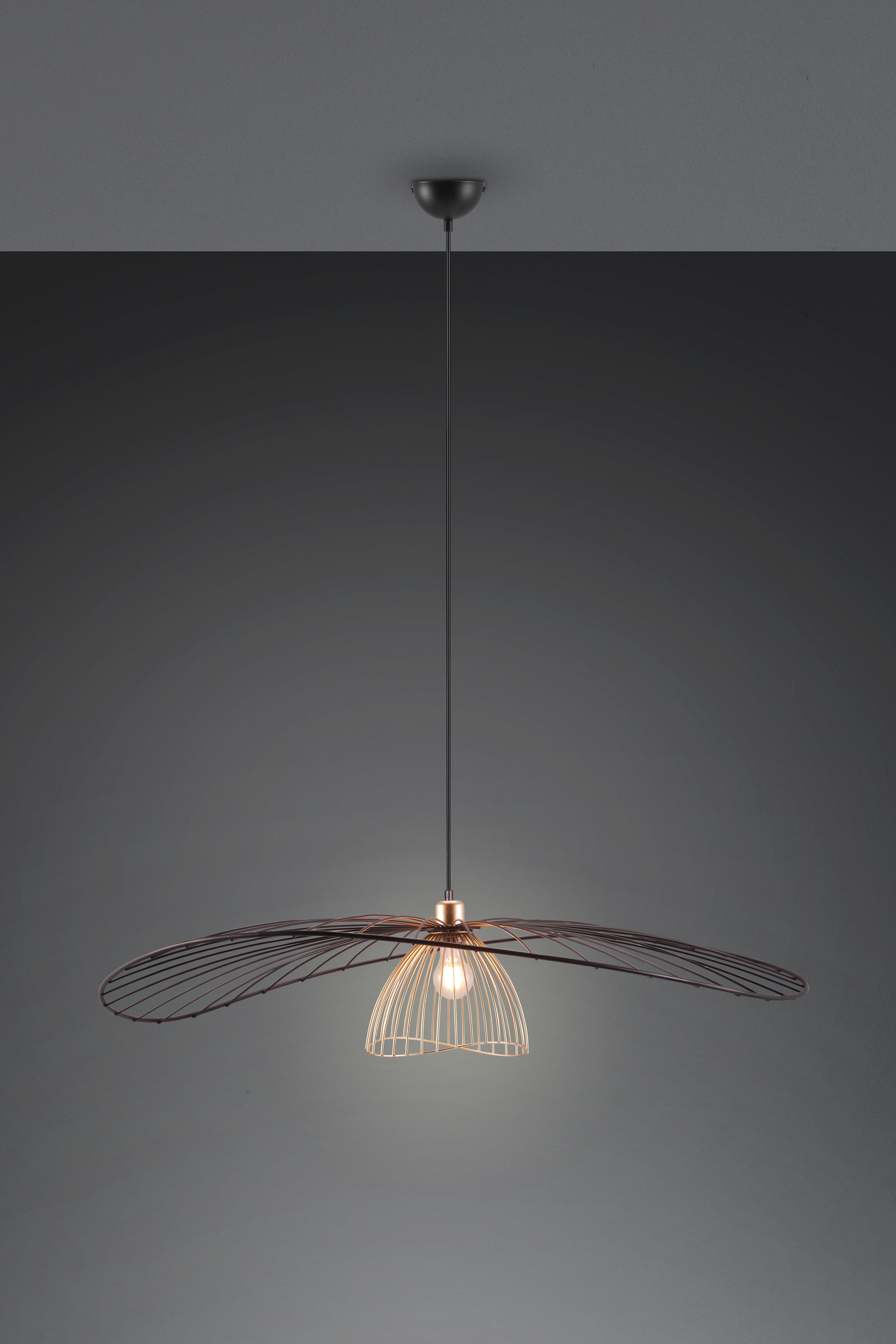 LAURIS – R36791032